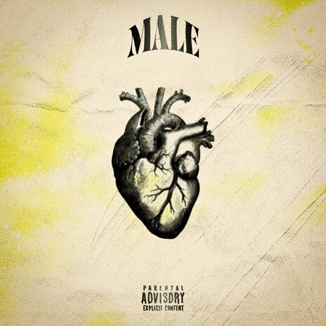 MALE ft. Fobio | Boomplay Music