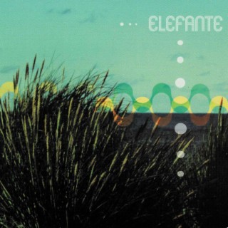 Elefante