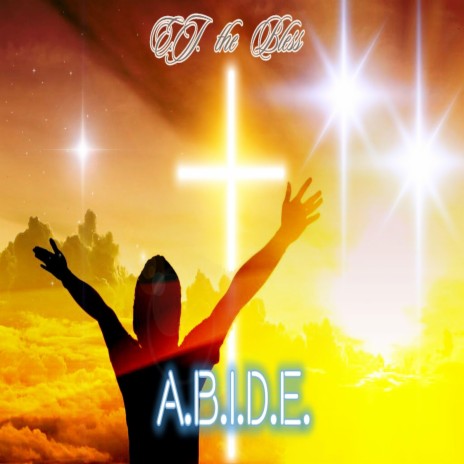 A.B.I.D.E.