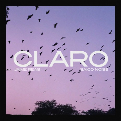 Claro ft. Saico Noise & Reas Produce | Boomplay Music