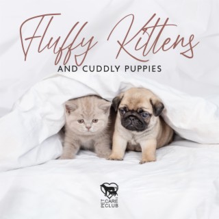 Fluffy Kittens and Cuddly Puppies: Piano and Guitar Gentle Music With Nature Sounds to Relax & Calm Down Your Animal Firend