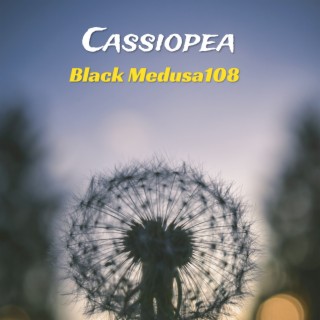 Cassiopea