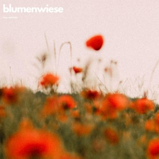 Blumenwiese