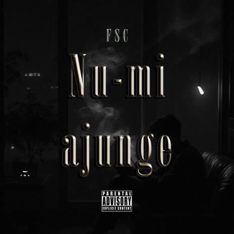 NU-MI AJUNGE | Boomplay Music