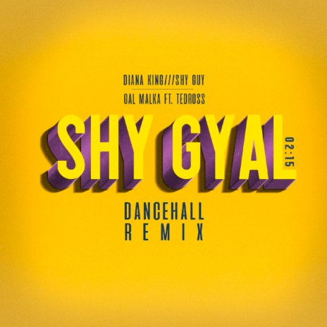 Shy Gyal (Dance Hall Remix) ft. Tedross | Boomplay Music