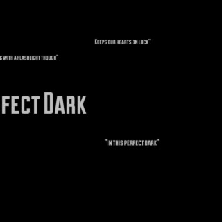 PERFECT DARK.