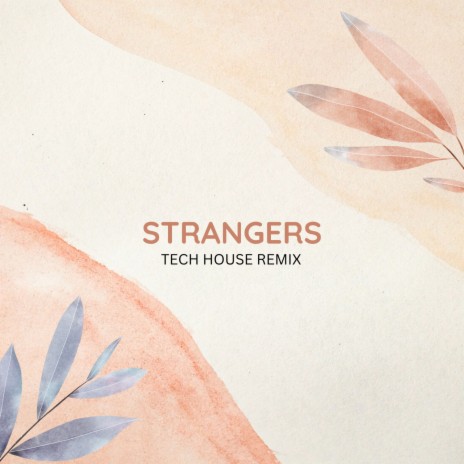 Strangers (Tech House) (Remix) ft. DJ Meetha | Boomplay Music