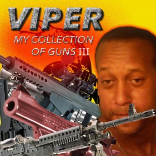 My Collection Of Guns III