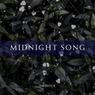 midnight song
