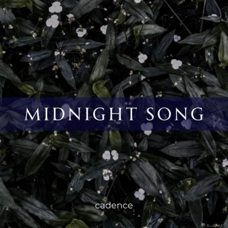 midnight song | Boomplay Music