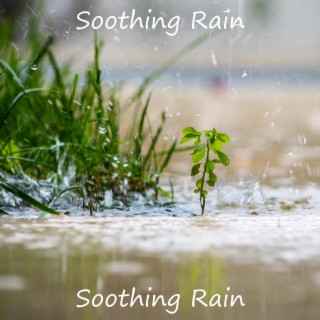 Nature Sounds Soothing Rain