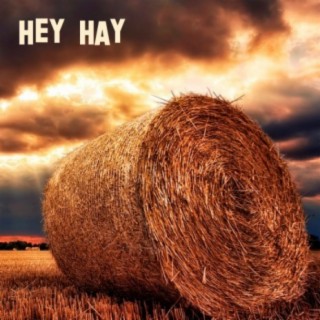 Hey Hay