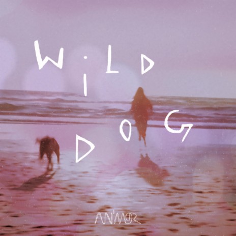 Wild Dog | Boomplay Music