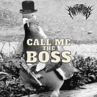 Call Me The Boss lyrics | Boomplay Music