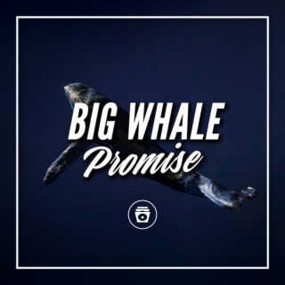 Big Whale Promise