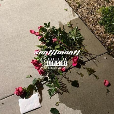 Sentiment ft. Fils FRT | Boomplay Music