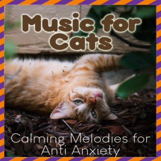 Music For Cats: Calming Melodies for Anti Anxiety