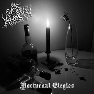 Nocturnal Elegies