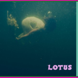 Lotus (B)