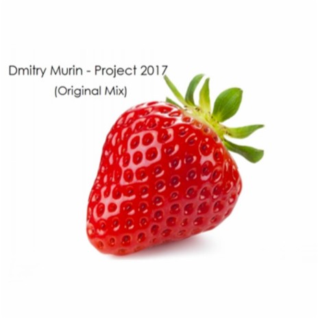 Project 2017 (Original Mix) | Boomplay Music