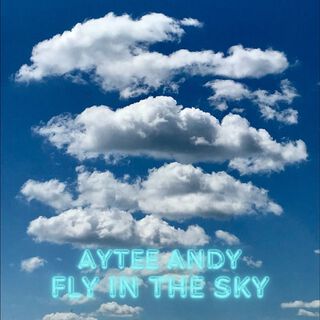 Fly in the sky