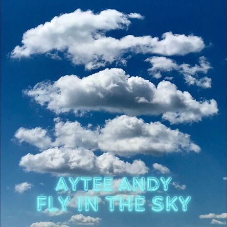 Fly in the sky | Boomplay Music