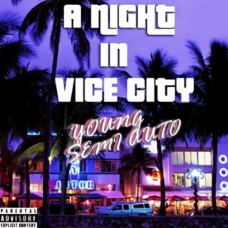 A Night In Vice City