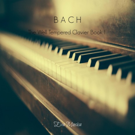 The Well Tempered Clavier Book I No. 24 in B minor BWV 869: Prelude | Boomplay Music