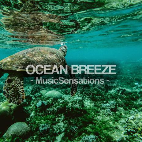 Ocean Breeze | Boomplay Music