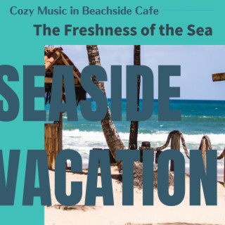 Cozy Music in Beachside Cafe - The Freshness of the Sea