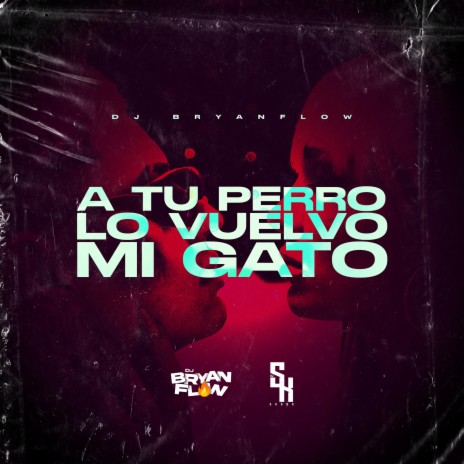 A Tu Perro Lo Vuelvo Mi Gato ft. DJ Sknor | Boomplay Music