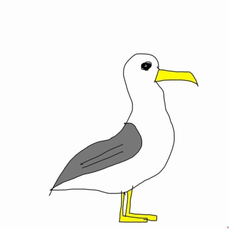 Seagull Beat | Boomplay Music