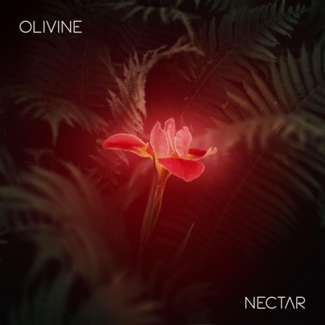 Nectar | Boomplay Music