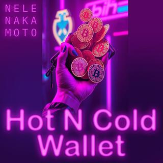 Hot N Cold Wallet lyrics | Boomplay Music