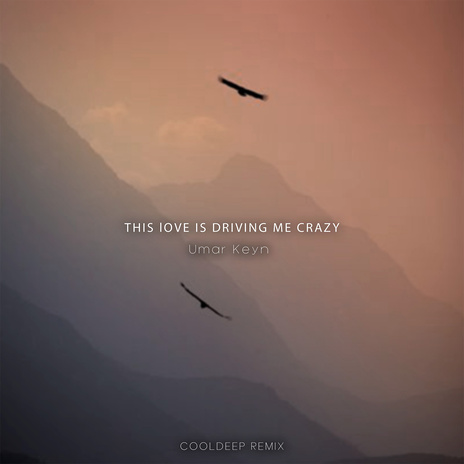 This Love Is Driving Me Crazy (Cooldeep Remix) | Boomplay Music