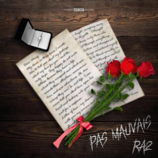 PAS MAUVAIS lyrics | Boomplay Music