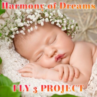 Harmony Of Dreams