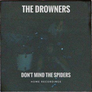 Don't Mind The Spiders (Home Recordings)
