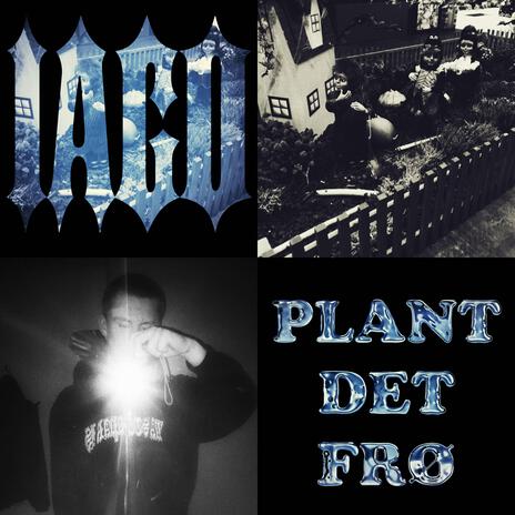 Plant Det Frø | Boomplay Music