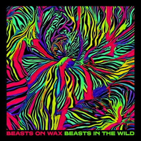 Beasts In The Wild | Boomplay Music