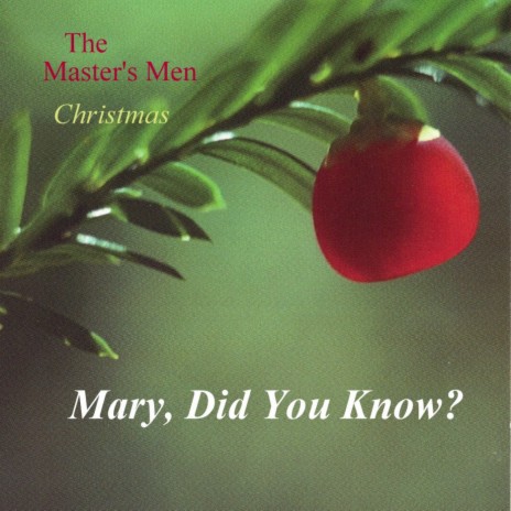 Mary, Did You Know? (2)