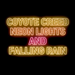 Neon Lights and Falling Rain