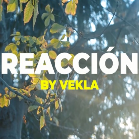 Reacción | Boomplay Music