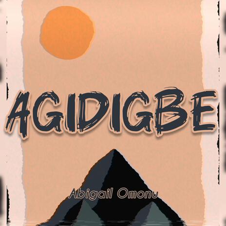 Agidigbe (Live) | Boomplay Music