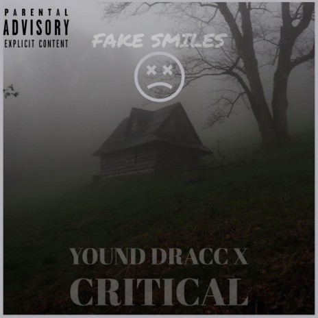 FAKE SMILES ft. CRITICAL | Boomplay Music