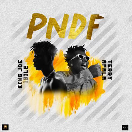 PNDF ft. Terry apala | Boomplay Music