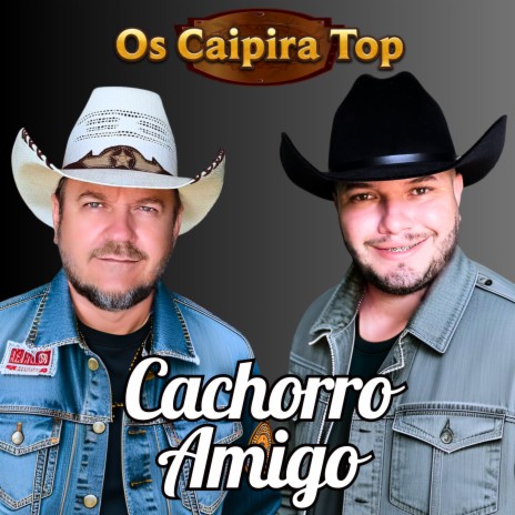 Cachorro Amigo | Boomplay Music