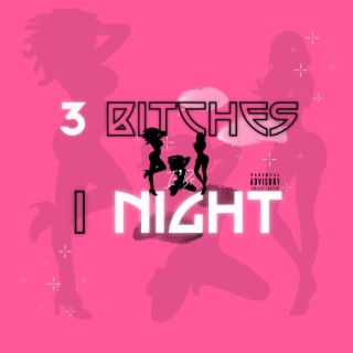 3 Bitches 1 Night