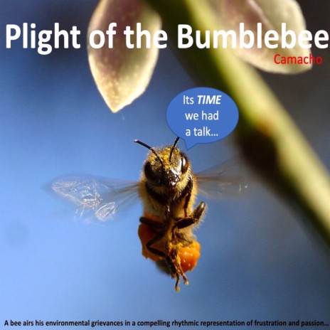 Plight of the Bumblebee | Boomplay Music