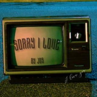 Sorry I Love